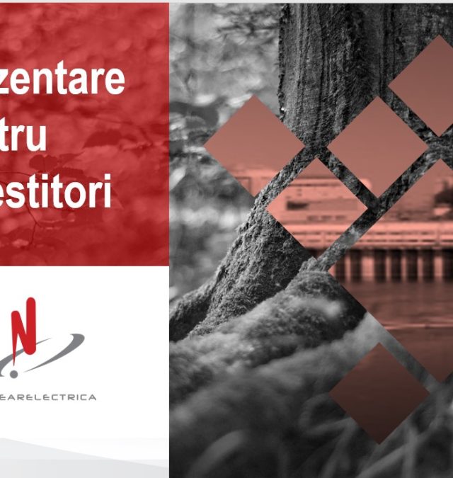 SNN pentru investitori